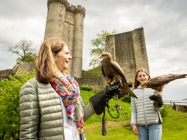 Greifvögel ganz nah, Adler- und Wolfspark