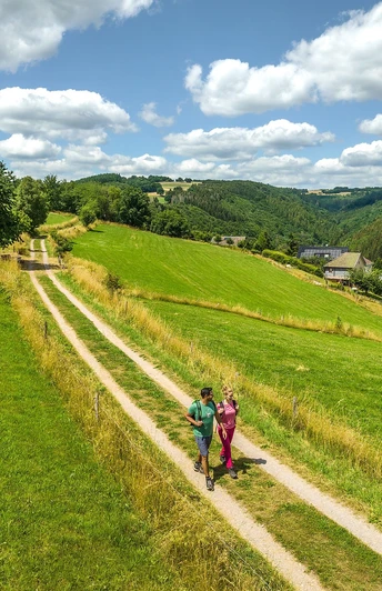 Eifelsteig bei Dedenborn