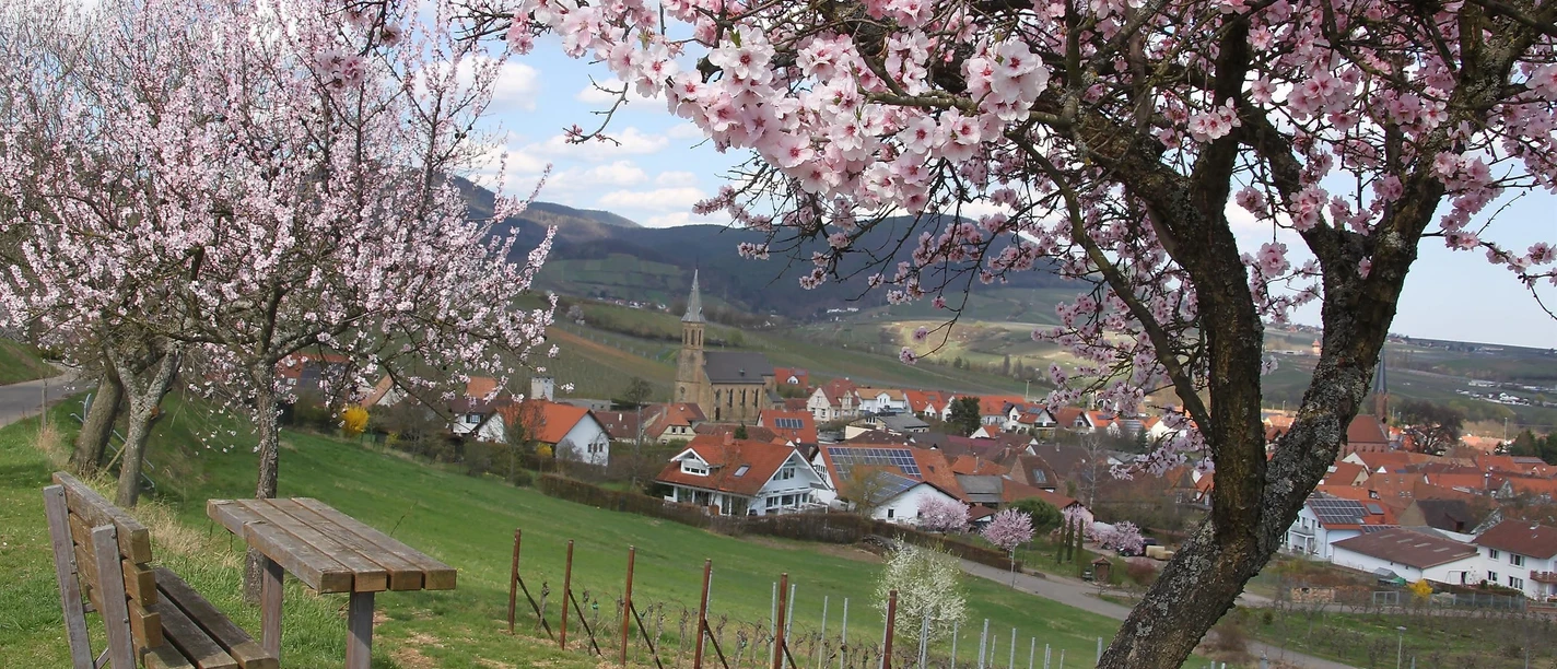 Dorfblick zur Mandelblüte