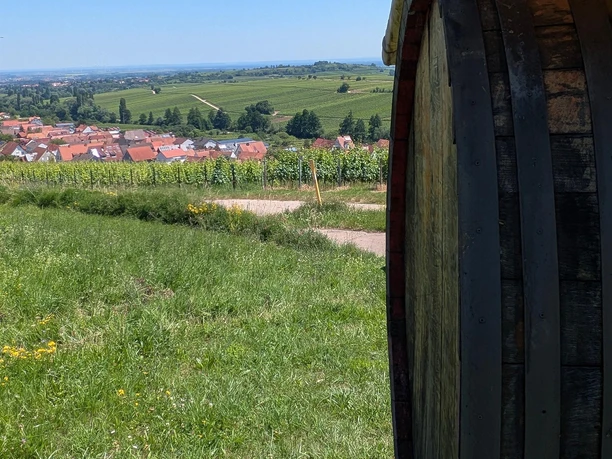 Aussicht Richtung Ranschbach