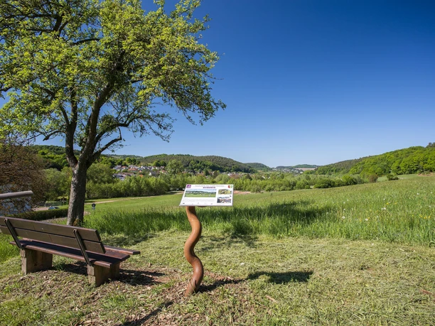 Saar-Leuktal-Panorama