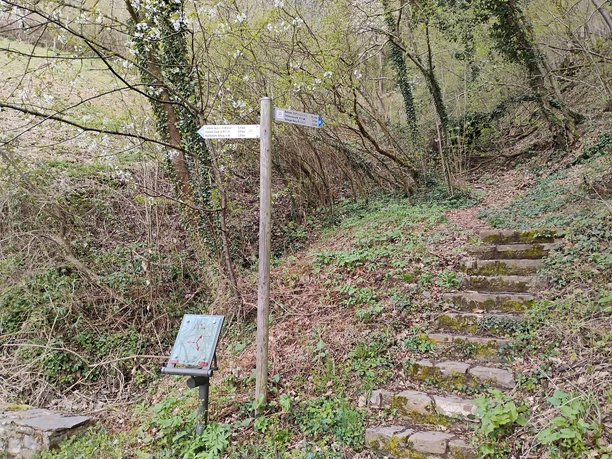 Apollo Weg