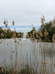 Fontäne Stadtpark