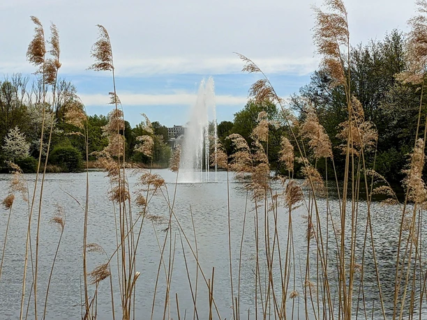 Fontäne Stadtpark