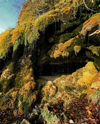 Felsen Tränenlay