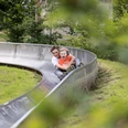 Sommerrodelbahn 1