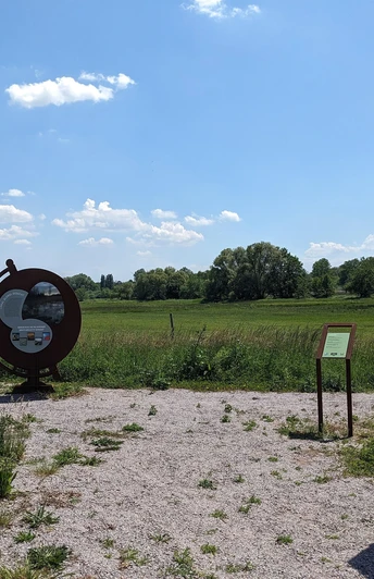 Erlebnispfad Billigheimer Bruch Tafel