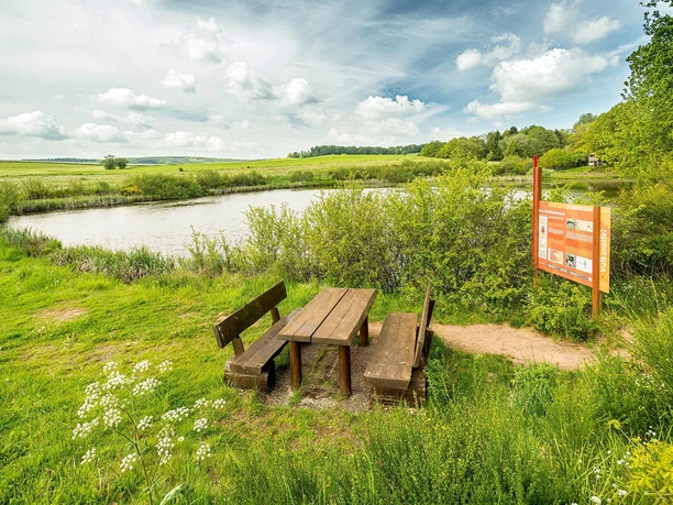 Eichholzmaar am Vulkanpfad