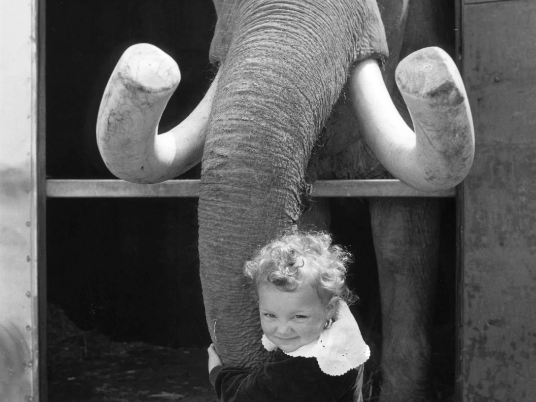 Foto von Rainer Wolfahrt aufgenommen
