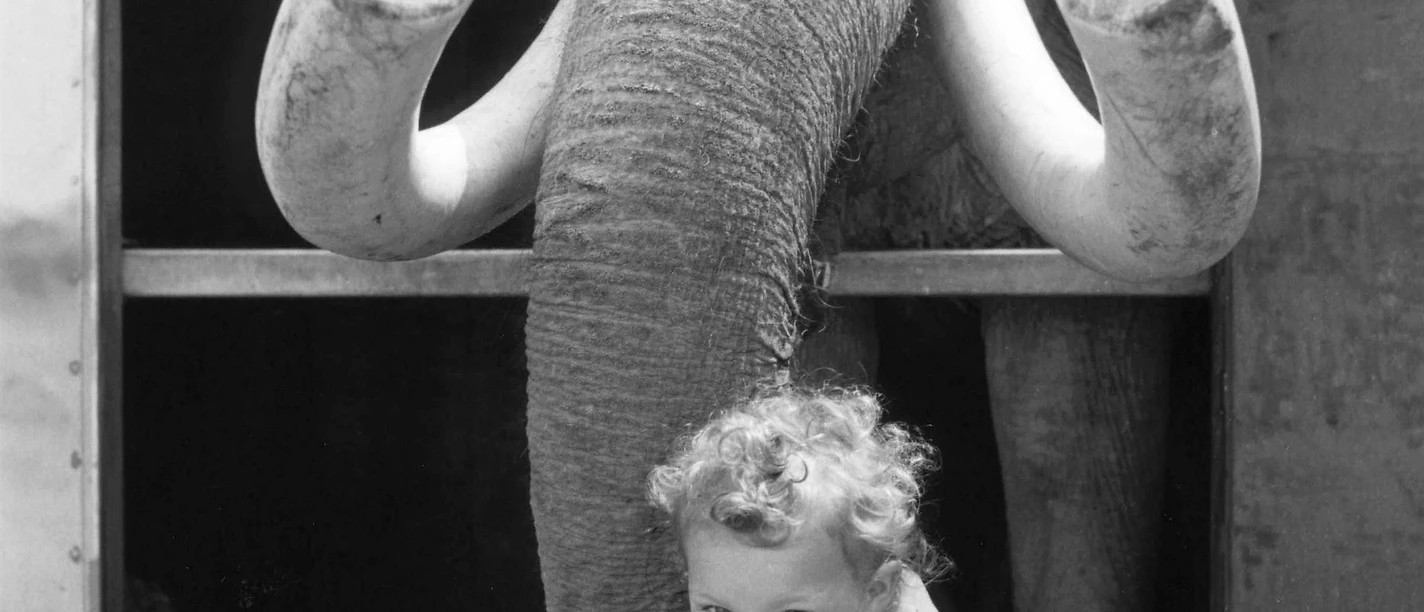 Foto von Rainer Wolfahrt aufgenommen