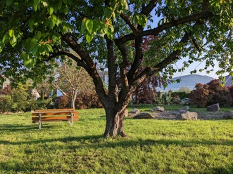 Picknickplatz Birkweiller