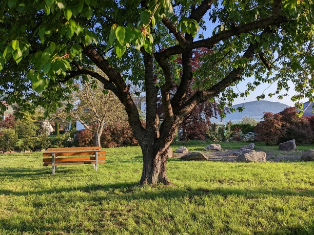 Picknickplatz Birkweiller