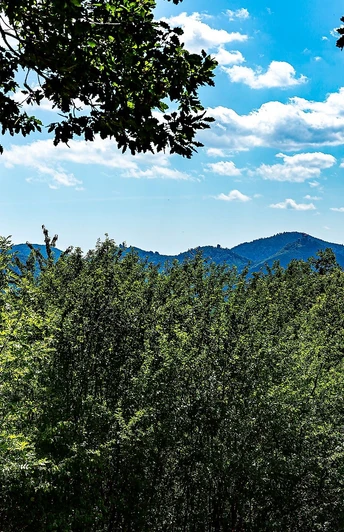 Schöne Aussicht Dernbach