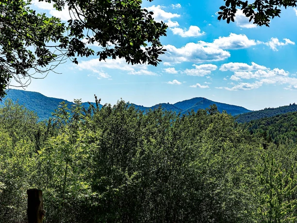 Schöne Aussicht Dernbach