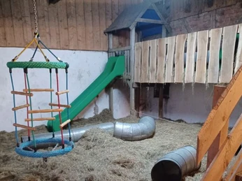 20221008_190006_resized_1