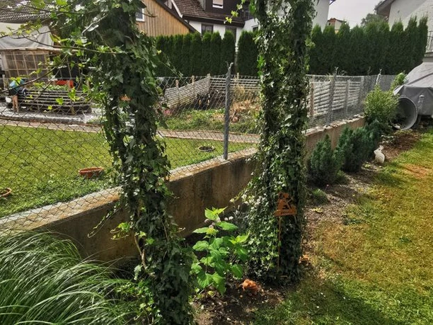 Gartenansicht