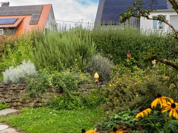 Blick in den Naturgarten