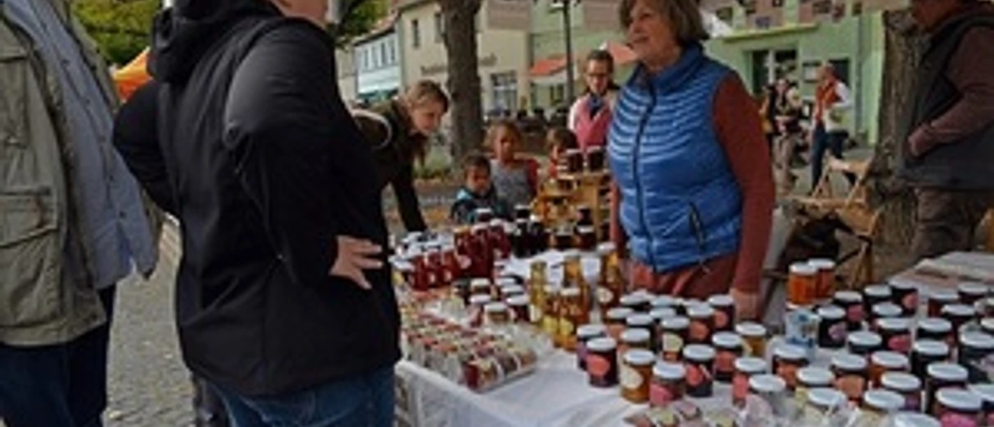 Stadtverwaltung Delitzsch