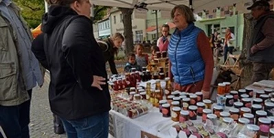 Stadtverwaltung Delitzsch