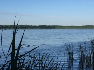 Radtour Großer Teich Torgau