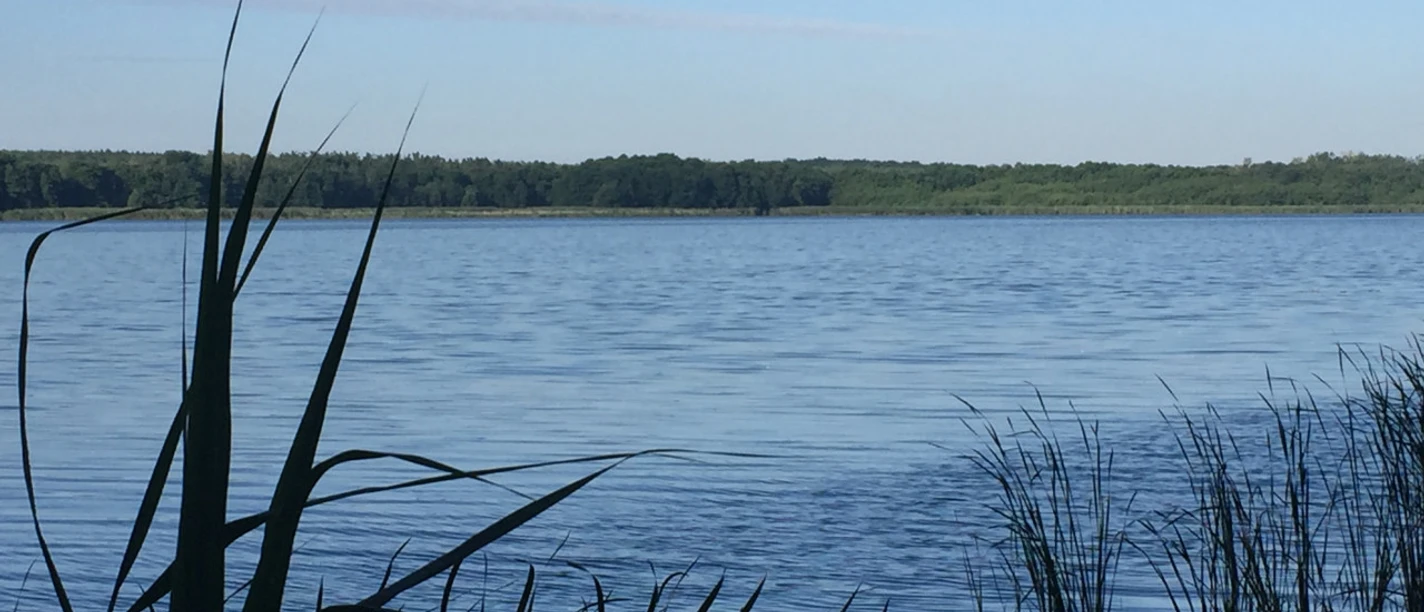 Radtour Großer Teich Torgau