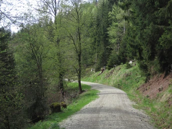 Wanderweg im Kunzental