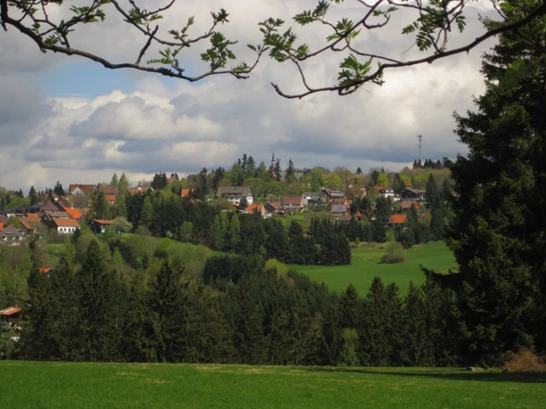 View from Lampertsberg to Hohegeiß
