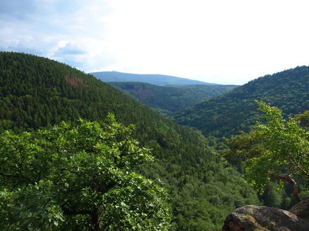 13 Ausblick vom Ilsestein auf das Ilsetal und den Brocken