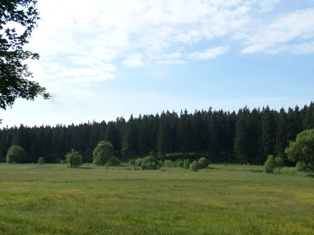 View into the Bodetal in Braunlage