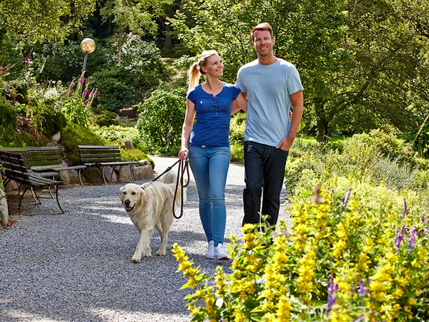 Relaxed through the spa park