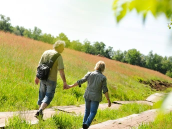 Wandern auf dem Moorweg