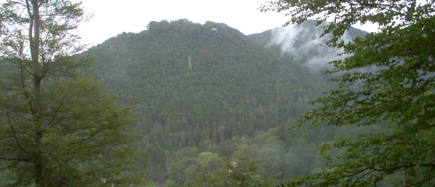 Ein Blick ins Harzer Land.