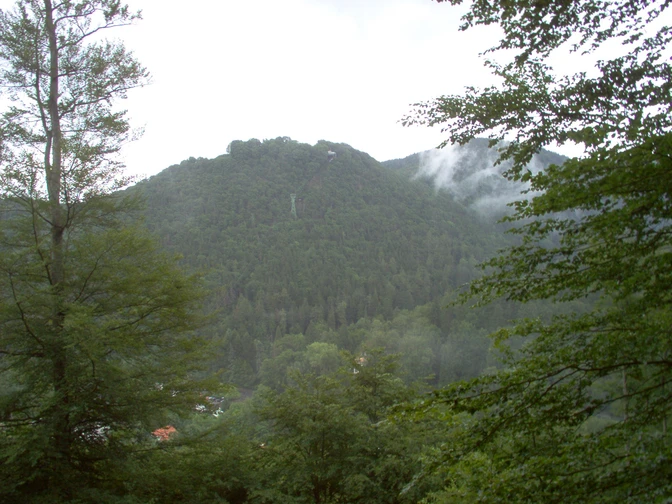 Ein Blick ins Harzer Land.