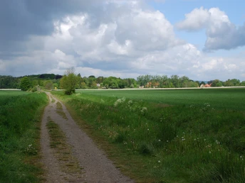 Blick über die Felder des nördlichen Harzvorlandes