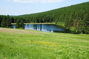 Heilklima-Wandern
