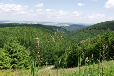 Heilklima-Wandern