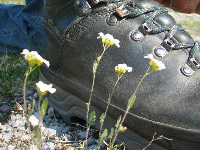 Wanderung zur Hexenbank