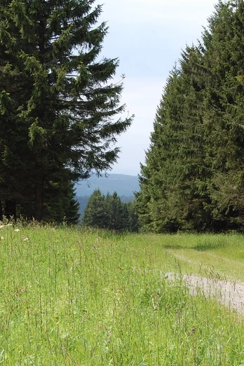 Die Natur barrierefrei genießen
