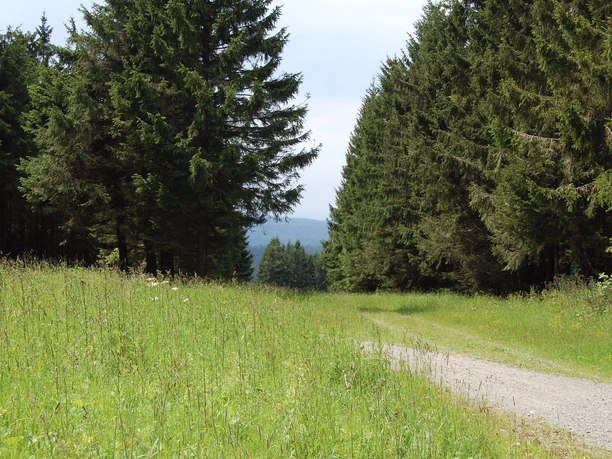 Enjoy nature without barriers