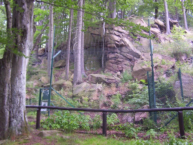 The lynx enclosure near the "Rabenklippen"