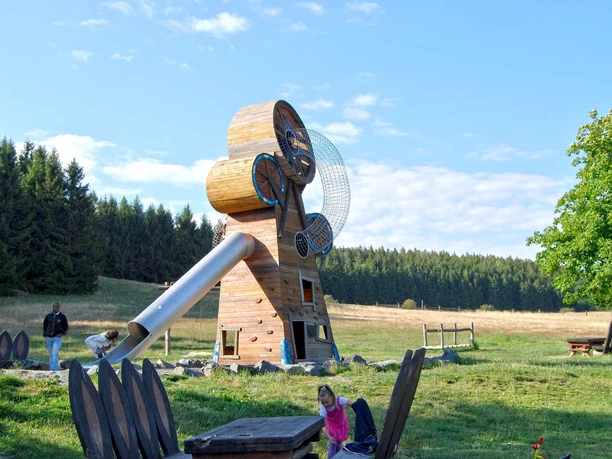 Playground under the oaks