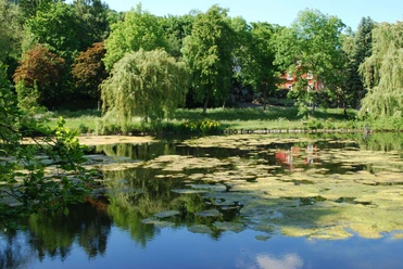 Frankenberger Teich