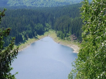 Blick auf eine Bucht des Granestausees