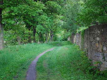 Pfad entlang der Klostermauer