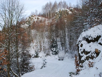 Obere Klippenweg im Winter