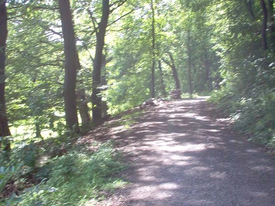 Im Schatten der Bäume walken wir dahin.