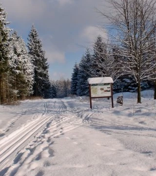 Abkürzung Hasenbergloipe