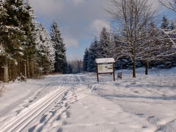Abkürzung Hasenbergloipe