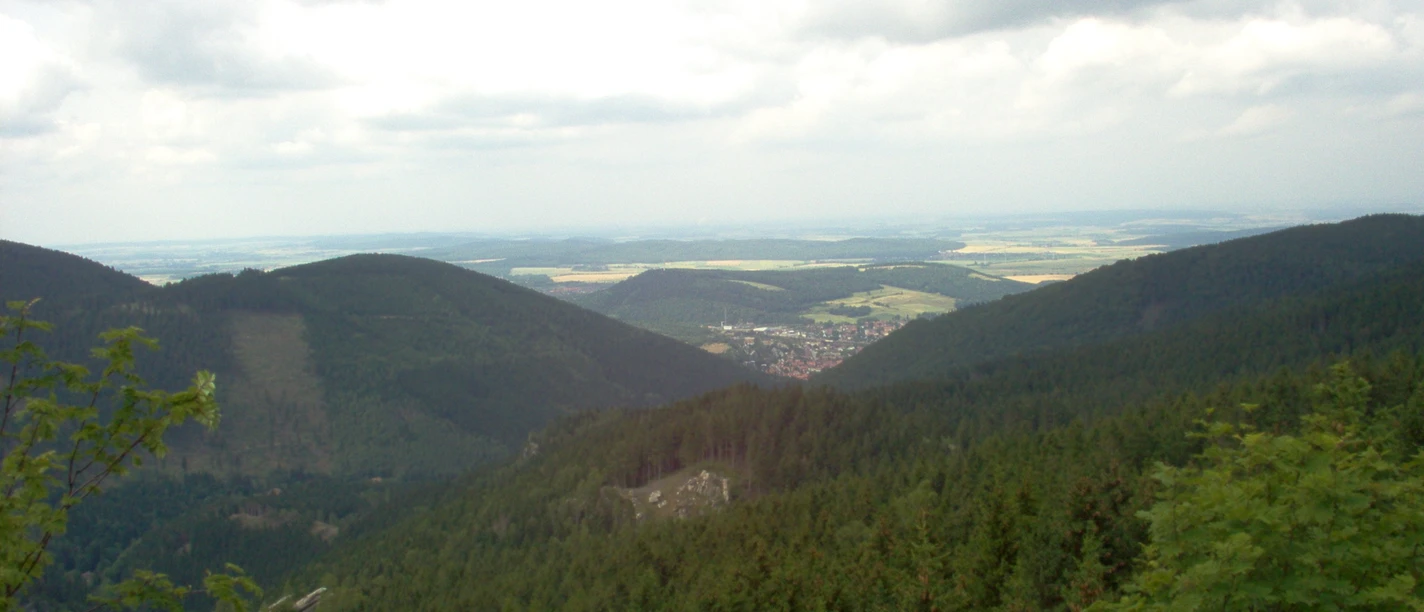 Weit schweift unser Blick.