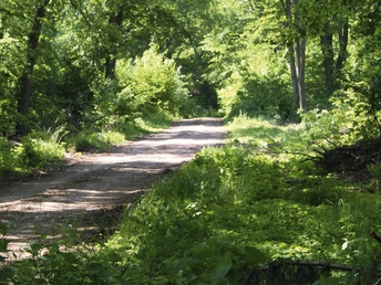 Circular hiking route Pölsfeld